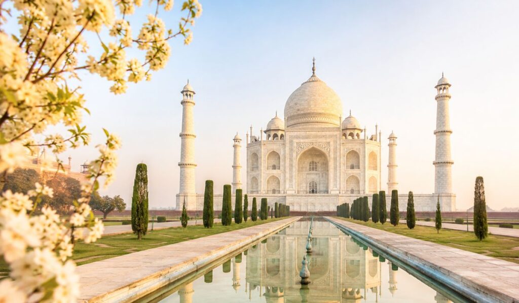 Taj Mahal viewed from the main garden reflecting pool with flowering trees, ideal for first-time visitors exploring Agra's iconic monument